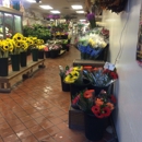 Compo Farm Flowers - Florists