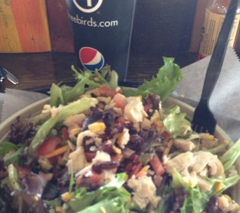 Freebirds World Burrito - San Antonio, TX