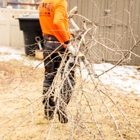 C M Tree Service & Removal