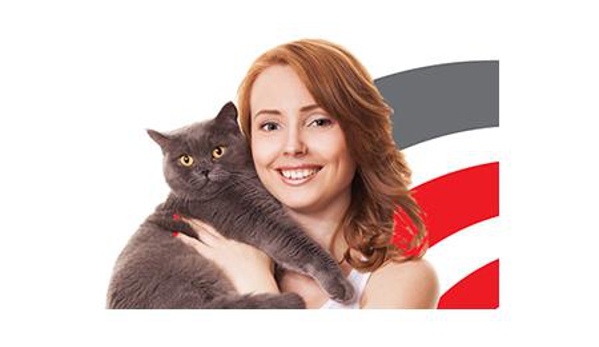 The Vet Group - Simpson, VIC