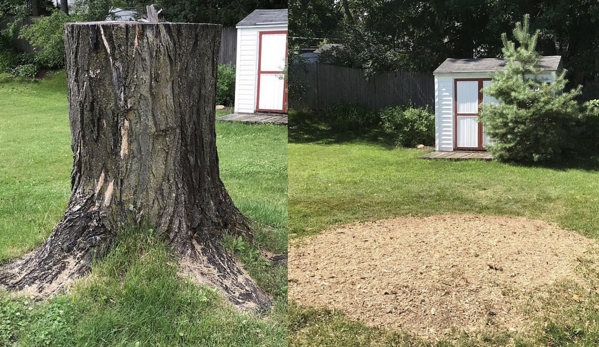 Stump Wrecker - Latham, NY. Tree Stump Brunswick NY