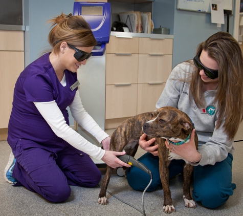 Aspetuck Animal Hospital - New Preston Marble Dale, CT