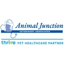 Animal Junction Veterinary - Veterinarians