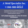 A Mold Specialist gallery