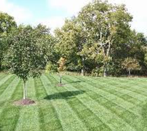 Beales lawn Service LLC - King George, VA