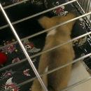 Our Pet World - Pet Stores