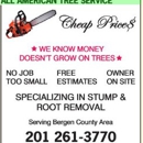 All American Tree Service - Stump Removal & Grinding