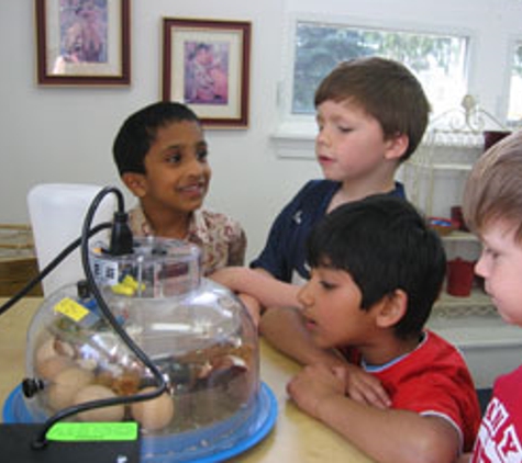 International Montessori School Inc - Indianapolis, IN