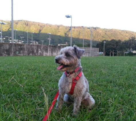 Manoa Valley District Park - Honolulu, HI