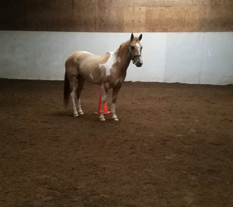 Kaizen Horse Training and Lessons - Monroe, MI