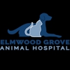 Elmwood-Grove Animal Hospital gallery