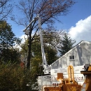 Chaz's Tree Service - Tree Service