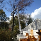 Chaz's Tree Service