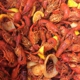 Crawfish Hole