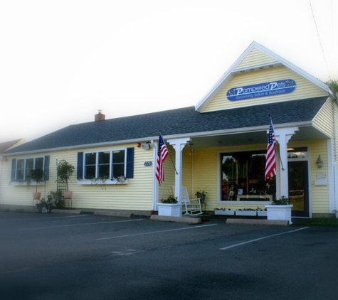 Pampered Pets Grooming Salon - Old Saybrook, CT