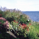 COTTAGE GARDENING - Landscape Designers & Consultants