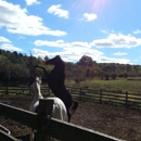 Wash Quarters Horse Blanket Cleaning & Repair - Commercial Laundries