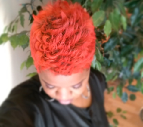 Shenae Paris Salon, LLC - Fayetteville, GA