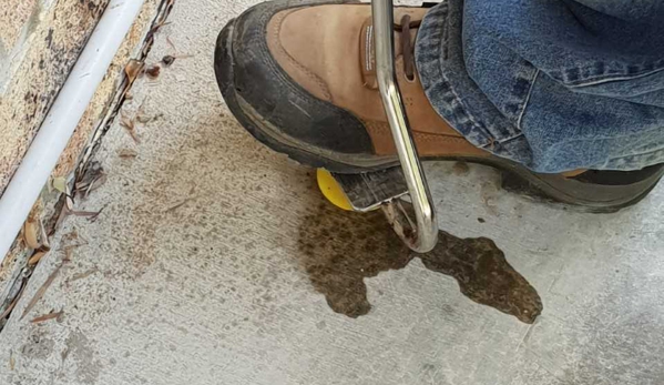 Proterm Termite & Pest Specialists - Kingaroy, QLD