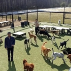 The Barkwood Inn Pet Resort