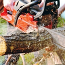 Kiker Tree Service & Stump Removal - Tree Service