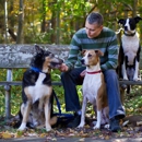 Green Grover Pet Services, LLC - Dog Training