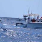 Delph Fishing Charters