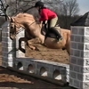 Cardinal Stable & Riding Academy gallery