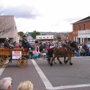 Lazy D Rockin P Ranch LLC-Carriages Rides & Rentals