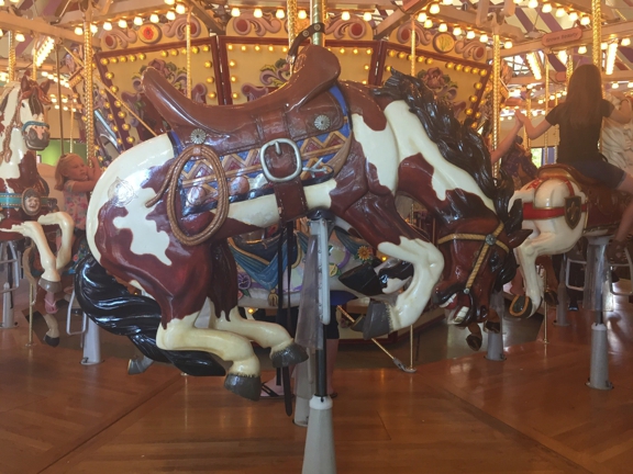 Carousel Gallery #51