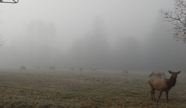 Mount Si Golf Course - Snoqualmie, WA