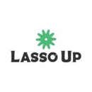 Lasso Up - Web Site Design & Services