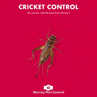 Murray Pest Control - Magill, SA