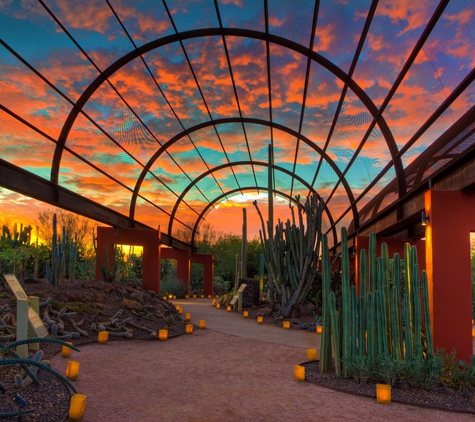 Desert Botanical Garden - Phoenix, AZ