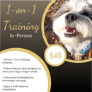 Zen Dog Home - Dog Training