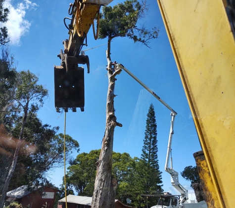 De Coite Tree Service - Haiku, HI