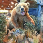 Cabela's