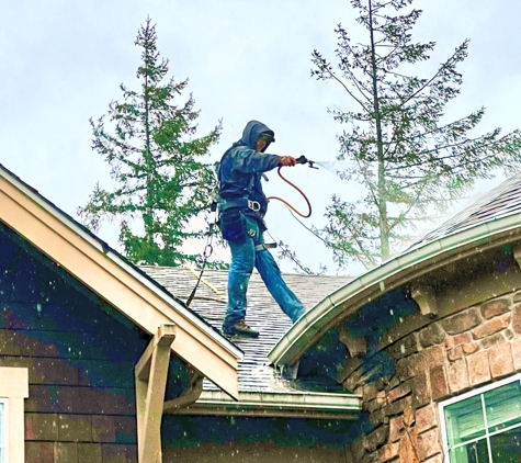 Roof Moss Gone - Bothell, WA