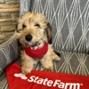 Mike Wilkins - State Farm Insurance Agent gallery