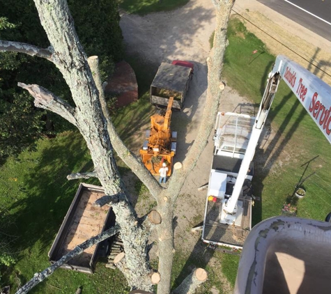 Zielinski Tree Service - Pound, WI