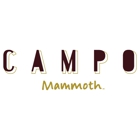 CAMPO MAMMOTH