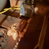 Qute Insulation gallery