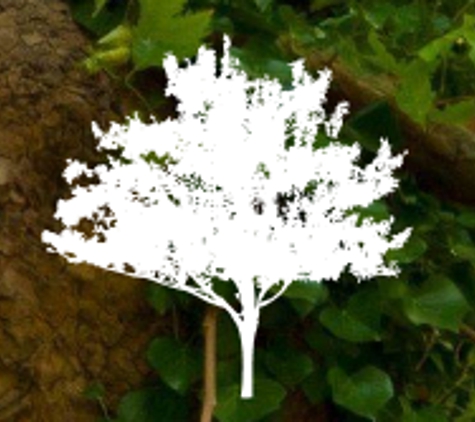 All American Arborists, Inc. - Colorado Springs, CO