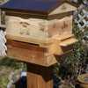 The Honey Tree Beekeeping Service gallery