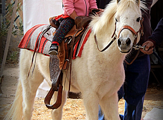 El Paso Party Ponies - El Paso, TX