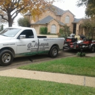 G Maya Tree Service & Landscaping