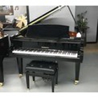 Anderson's Piano Clinic, Inc