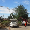 Clean Sweep Tree Service LLC gallery