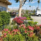 Desert Hot Springs Floirist & Garden Center Nurse