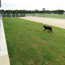 Phillips Dunn Animal Hospital - Pet Boarding & Kennels